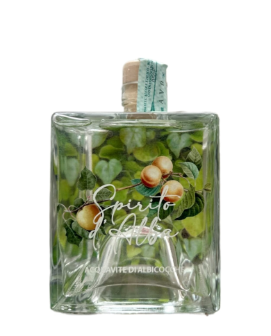 SPIRITO D'ALBA - Acquavite di Albicocca 0,5L