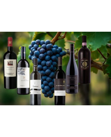BOX Degustazione Rossi Italia