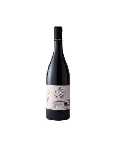 SettantaTrenta Barricato Toscana Rosso I.g.t. 2017 Biologico-Naturale SettantaTrenta Barricato Toscana Rosso I.g.t. 2017 Biologico-Naturale