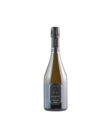 Champagne Extra Brut "Blanc de Blanc Mesnil Experience" GRAN CRU