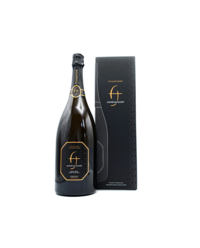 Champagne "Vertus Experience Blanc De Blanc" Extra Brut Magnum Astucciato Premiere Cru