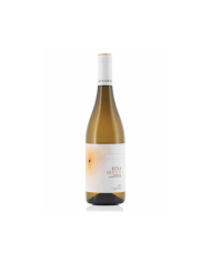 ETNA BIANCO D.o.c. La Gelsomina 2021
