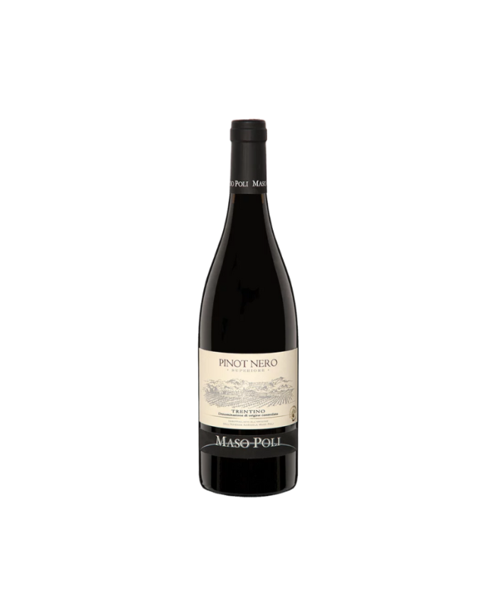 PINOT NERO Trentino D.o.c. Superiore 2017