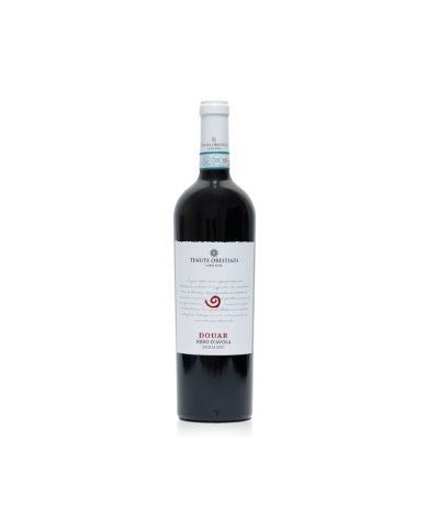 DOUAR Nero d'Avola Sicilia D.o.c. 2021 DOUAR Nero d'Avola Sicilia D.o.c. 2021
