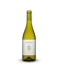 Vermentino Maremma Toscana D.o.c. 2023 "Campo Maccione" Vermentino Maremma Toscana D.o.c. 2023 "Campo Maccione"