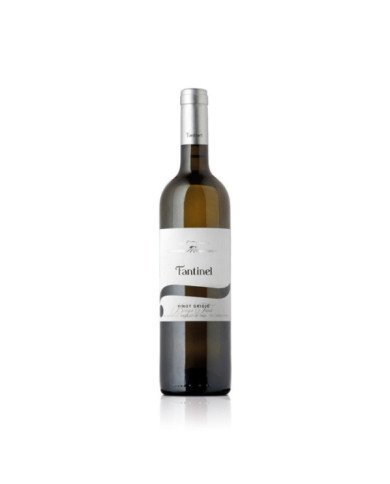 Pinot Grigio Borgo Tesis D.o.c. Friuli 2023 Pinot Grigio Borgo Tesis D.o.c. Friuli 2023