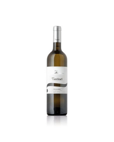 FRIULANO Borgo Tesis D.o.c. Friuli 2024 FRIULANO Borgo Tesis D.o.c. Friuli 2024