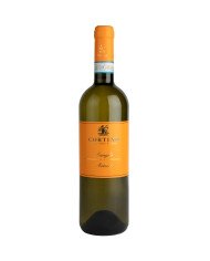 ARNEIS Langhe D.o.c. 2025