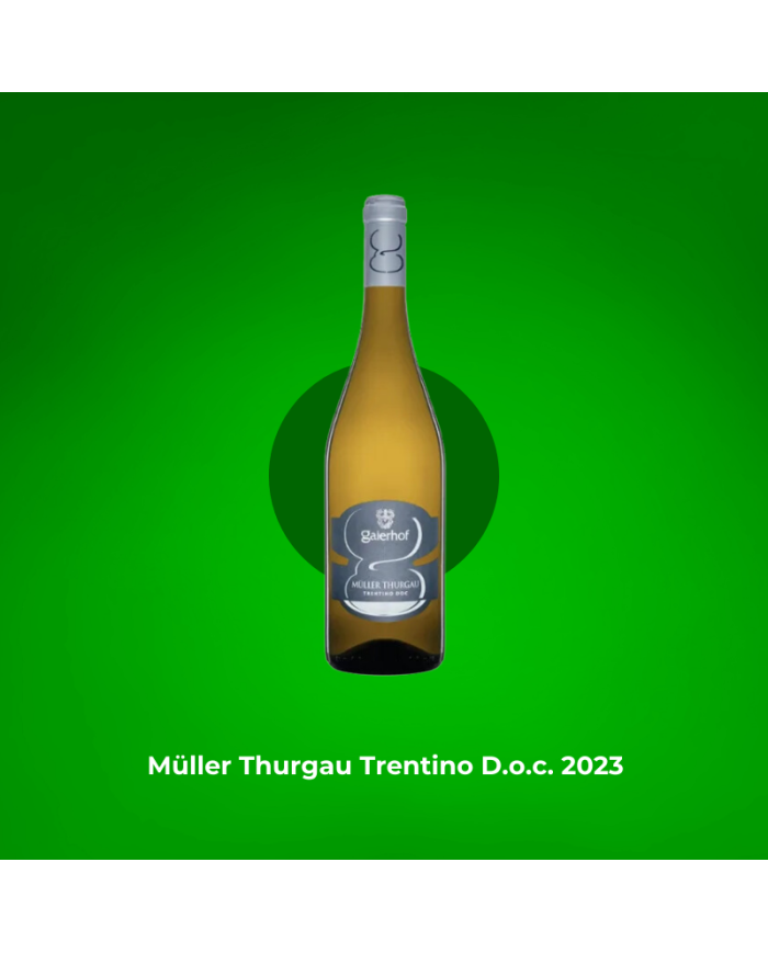 Wine Box Whites of Trentino - 3 Bottles