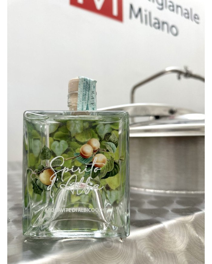 SPIRITO D'ALBA - Apricot Brandy SPIRITO D'ALBA - Apricot Brandy