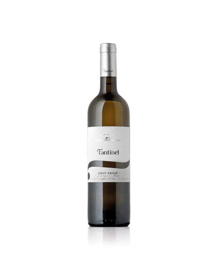 Pinot Grigio Borgo Tesis D.o.c. Friuli 2024
