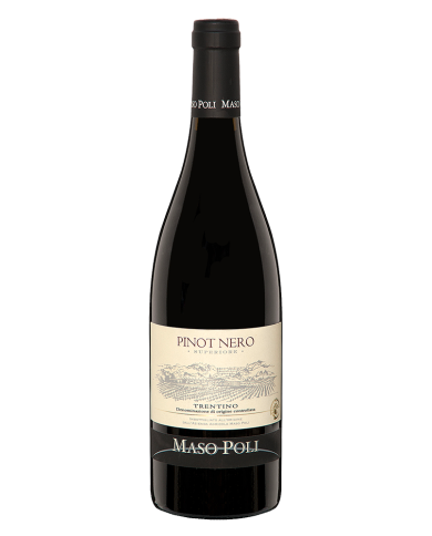 Pinot Nero Trentino D.o.c. Superiore 2017