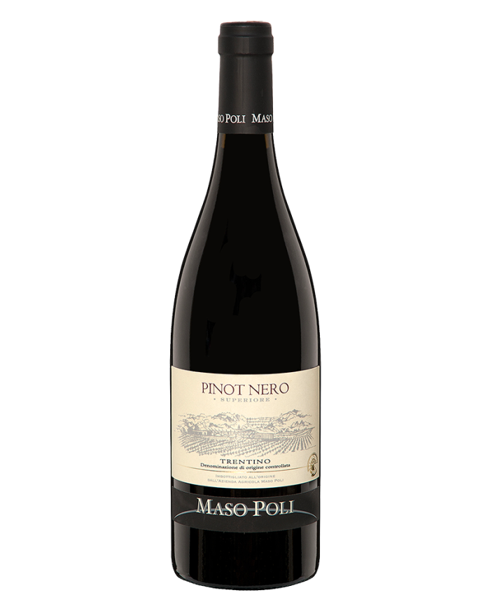 PINOT NERO Trentino D.o.c. Superiore 2017