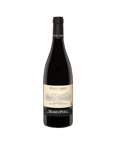 PINOT NERO Trentino D.o.c. Superiore 2017