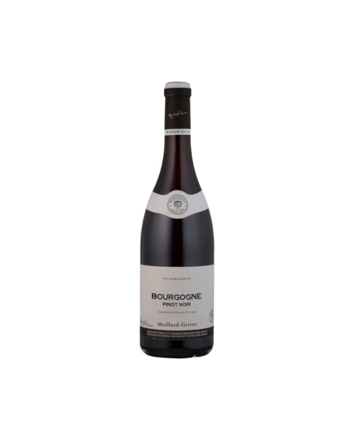 PINOT NOIR Bourgogne A.O.P. 2023