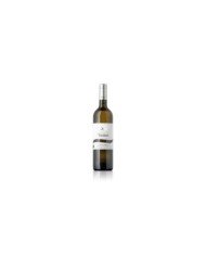 FRIULANO Borgo Tesis D.o.c. Friuli 2025