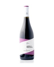 PINOT NOIR Bourgogne A.O.P. 2023