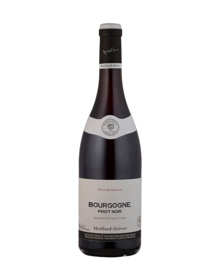PINOT NOIR Bourgogne A.O.P. 2023