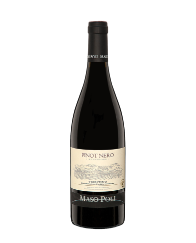 PINOT NERO Trentino D.o.c. Superiore 2017
