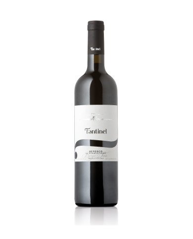 REFOSCO Borgo Tesis D.o.c. Friuli 2023