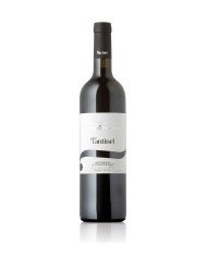 AGLIANICO Campania I.g.t. 2021