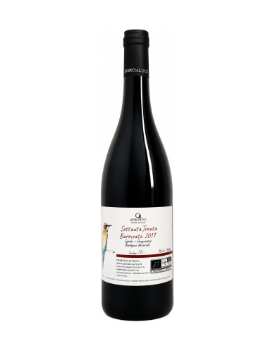 SettantaTrenta Barricato Toscana Rosso I.g.t. 2017 Organic-Natural