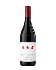 TENZONE Valpolicella Ripasso D.o.c. 2022 Biologico