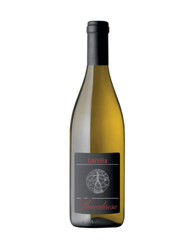 BOCCADIROSA Malvasia 2023 BIO - Colli Piacentini DOC