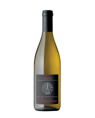 VIVI Vermentino 2024 Igt Toscana