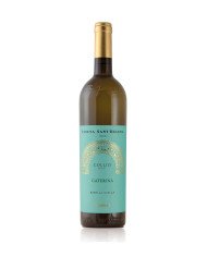 FRIULANO Borgo Tesis D.o.c. Friuli 2025