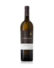 GRECO DI TUFO 2023