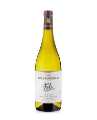 Etna Bianco D.o.c. La Gelsomina 2024