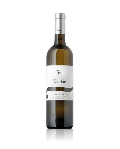 FRIULANO Borgo Tesis D.o.c. Friuli 2024