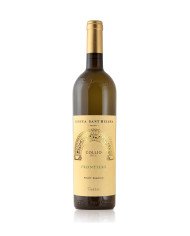 CATERINA Ribolla Gialla - Tenuta Sant'Helena Collio D.o.c. 2024