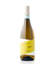 Sancerre Blanc AOP 2024