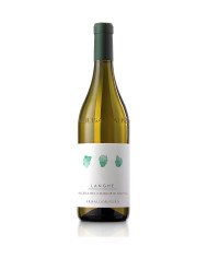 FRIULANO Borgo Tesis D.o.c. Friuli 2025