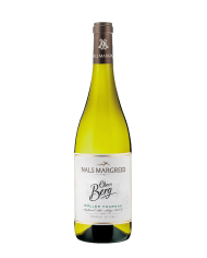 STEIN Sauvignon 2025 Alto Adige D.o.c.