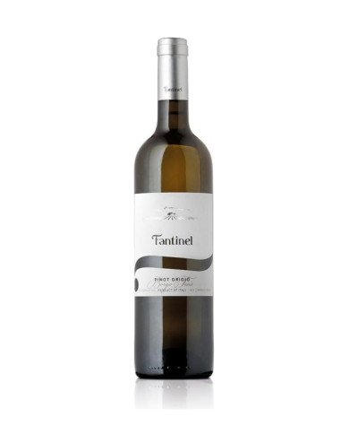 Pinot Grigio Borgo Tesis D.o.c. Friuli 2025