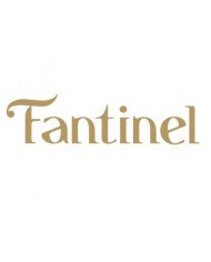 Fantinel