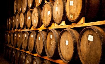 Consigli di conservazione del Vino: come prolungare la vita del tuo Tesoro Enologico Consigli di conservazione del Vino: come prolungare la vita del tuo Tesoro Enologico